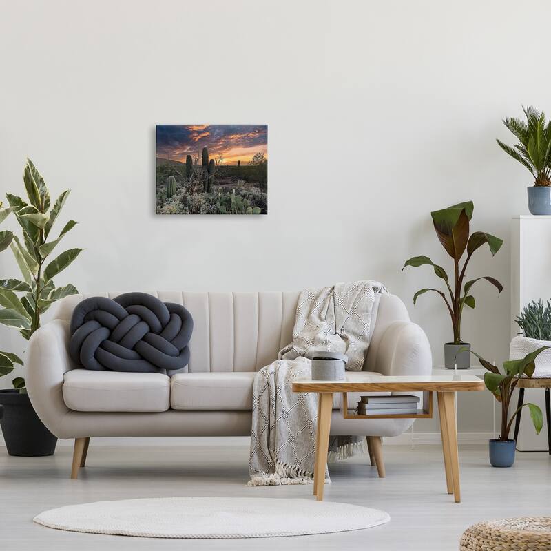 Stupell Arid Desert Cactus Sunset Stretched Canvas Wall Art, Design by Nathan Larson
