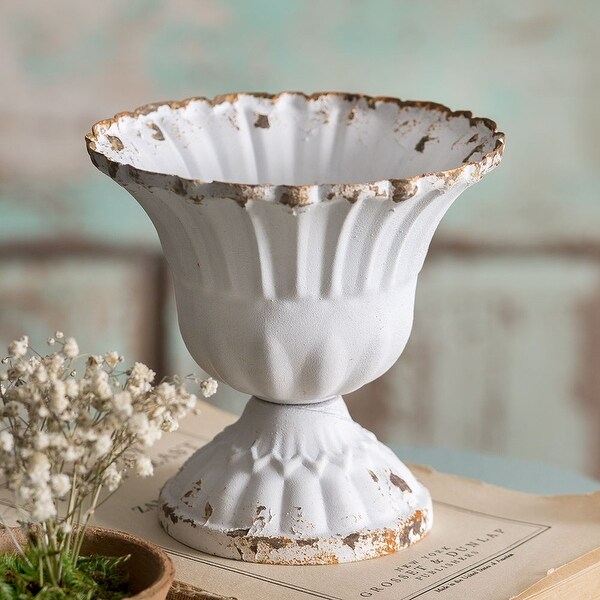 Medium Scalloped Cup 4pk