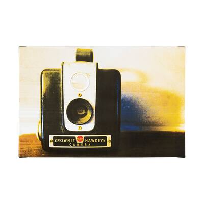 Hawkeye Vintage (45 x 30) Canvas Art Print