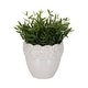 preview thumbnail 30 of 32, Plant Pot - Ivory Ceramic Round Iridescent Floral Crown, 6"