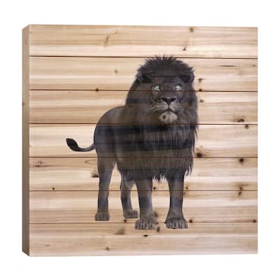 Black Lion Print On Wood by Paul Fuentes - Multi-Color