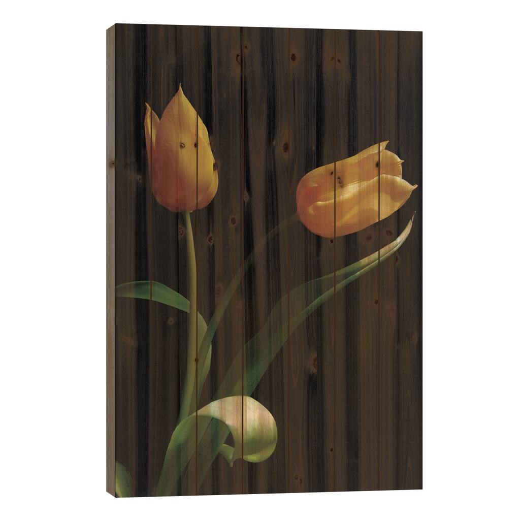 Trust Print On Wood by Ily Szilagyi - Multi-Color
