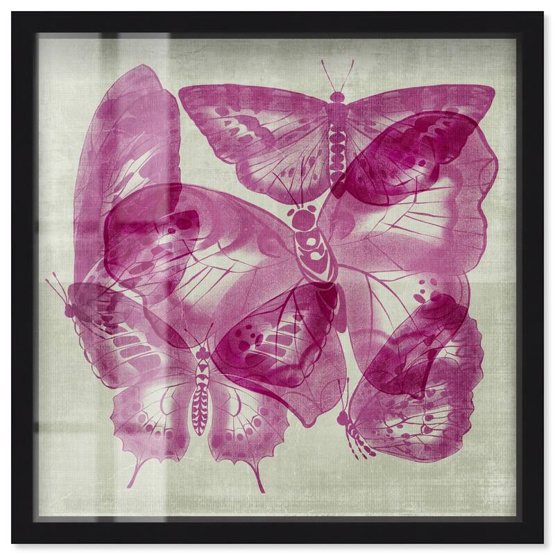 Fluttering Wings Shadowbox by Art Remedy - Black - 40" x 40"