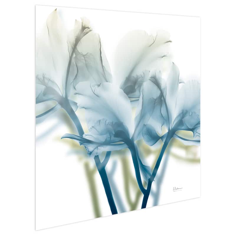 "Unfocused Beauty 3" Frameless Free Floating Tempered Glass Panel Graphic Wall Art