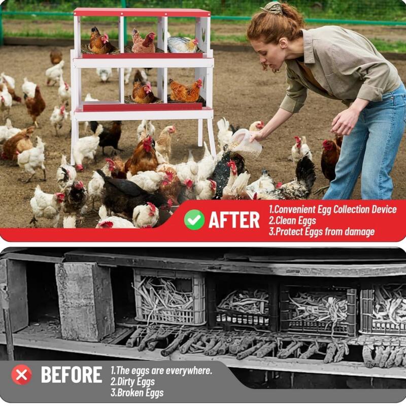 Chicken Nesting Box Nesting Boxes