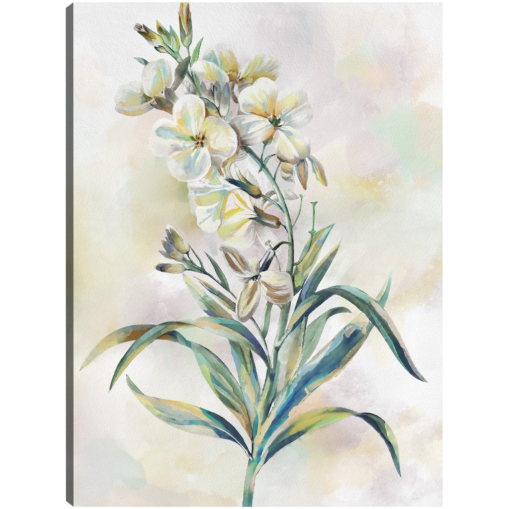 Botanical Whispers III By Studio Arts Canvas Art Print