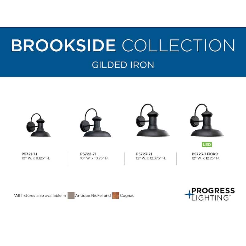 Brookside Collection One-Light Medium Wall Lantern - 12.010" x 12.600" x 11.020" - 12.010" x 12.600" x 11.020"