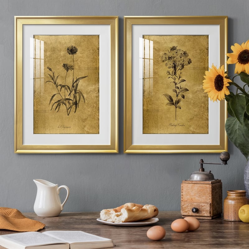 Gold Sketch Botanical I Premium Framed Print - Ready to Hang