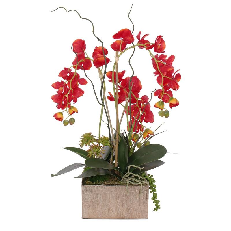 Real Touch Red Orchid Succulent Flower Arrangement in Square Gold Pot - 15W x 11D x 18.5H