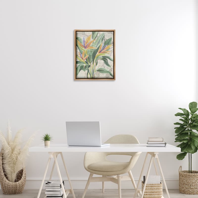 Stupell Bird of Paradise over Map Framed Floater Canvas Wall Art Design By June Erica Vess