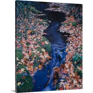 Shop Fallen Leaves On The Banks Of A Stream Huachuca Mountains Coronado National Forest Arizona Canvas Wall Art Overstock 24218148 Leaves on a stream 9494 gifs. overstock com