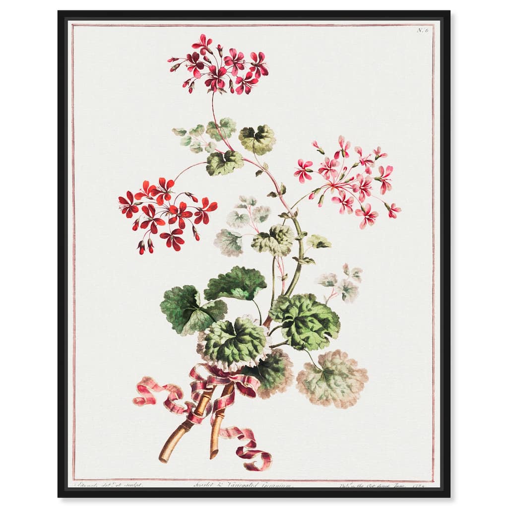 Carlet Variegated Geranium 1801 Canvas by Art Remedy
