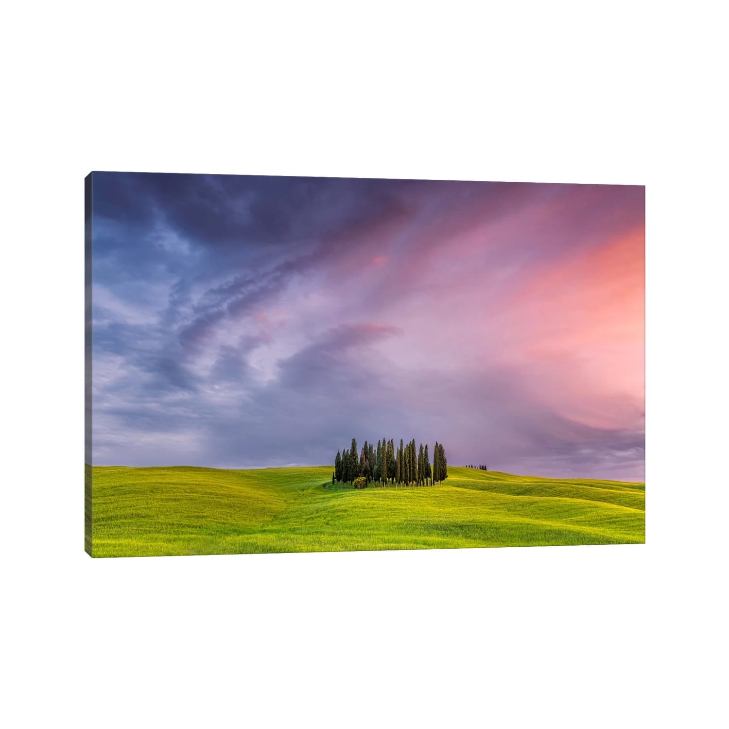 iCanvas "To The Heavens, Tuscany, Italy" by Jim Nilsen Canvas Print