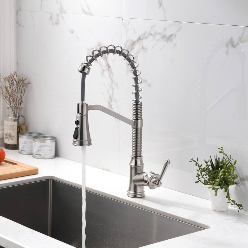 Kitchen Faucet with Pull Down