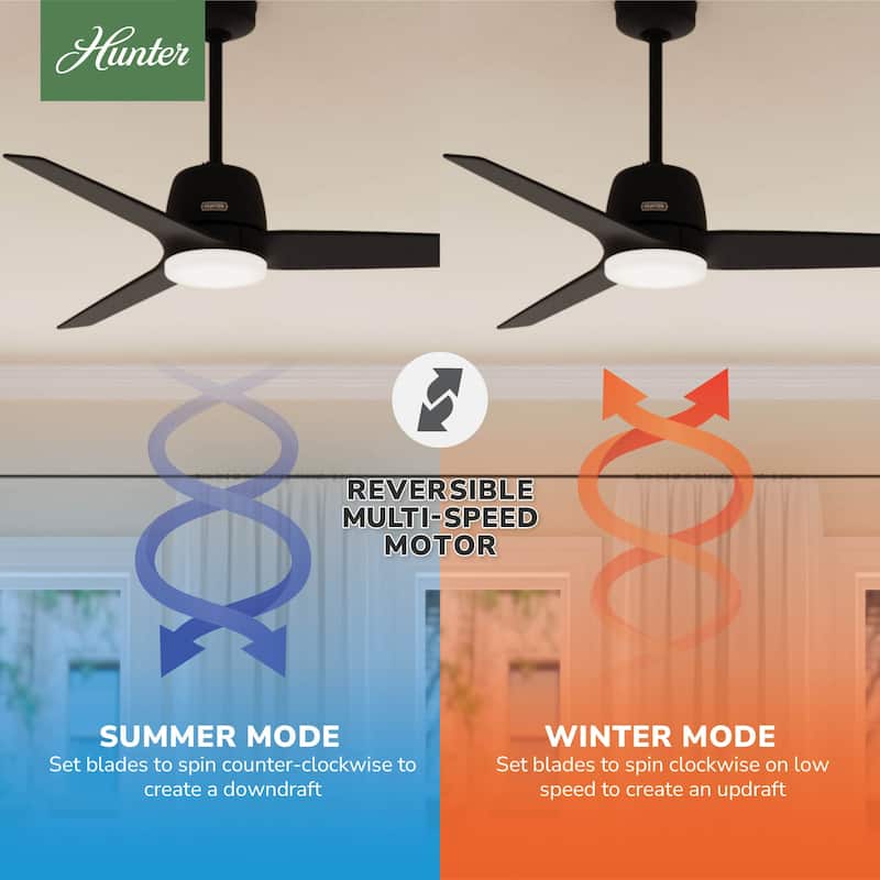 Hunter + Jasmine Roth 52" Malden Ceiling Fan w/ LED Light, Remote - Casual, Transitional - Designer!