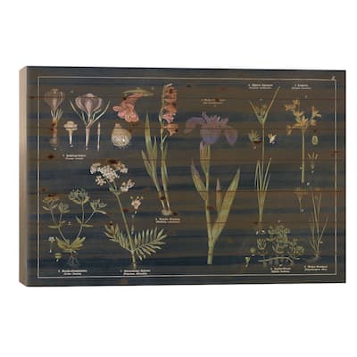 Botanical Floral Chart II Dark Blue Print On Wood by Wild Apple Portfolio - Multi-Color