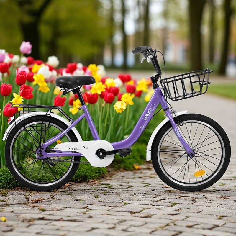 20 Inch Kids Bike for Boys & Girls, Single Speed Bicycle with Coaster Brake, V-Brake & Rear Rack