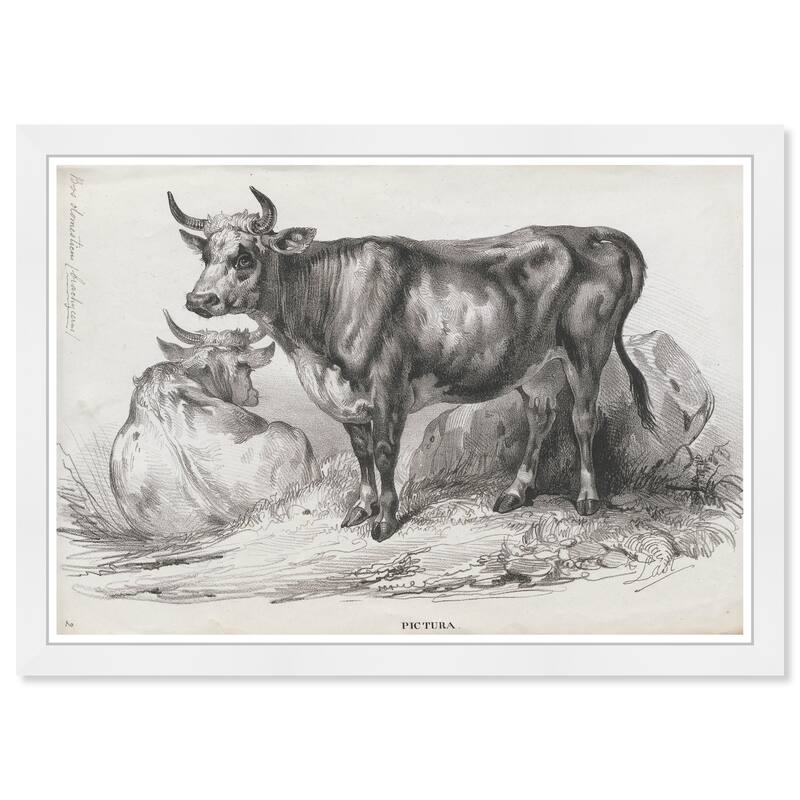 Wynwood Studio Prints Animals Bos domesticus Black and Rustic Wall Art Canvas Print