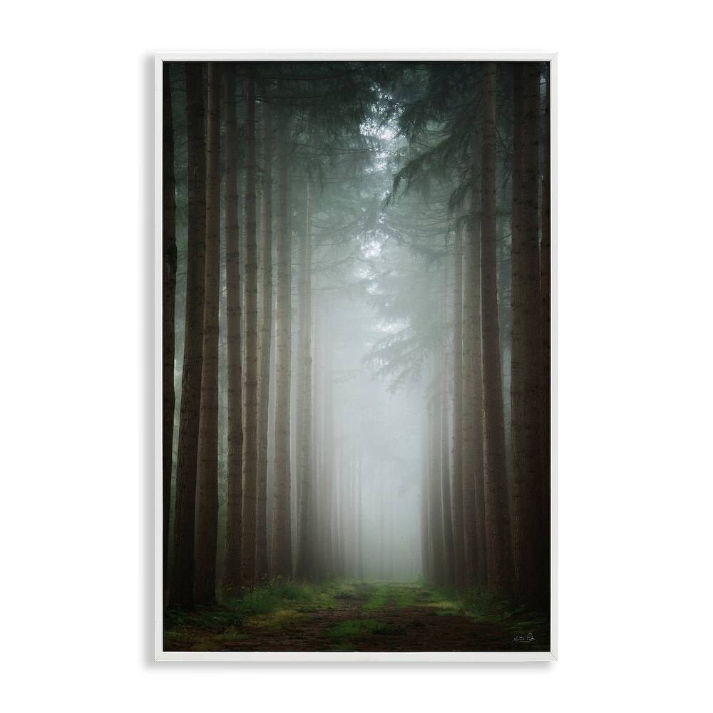 Stupell Moonlight Through Dark Forest Framed Giclee Art Design By Martin Podt