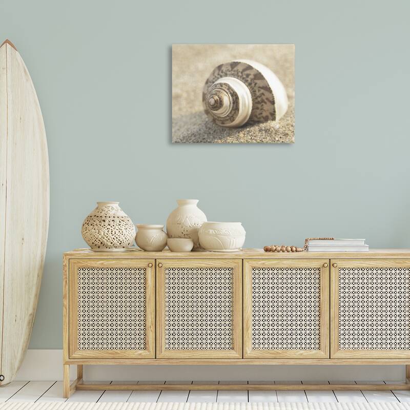 Stupell Neutral Tone Seashell Canvas Wall Art Design By Dora Rotondella