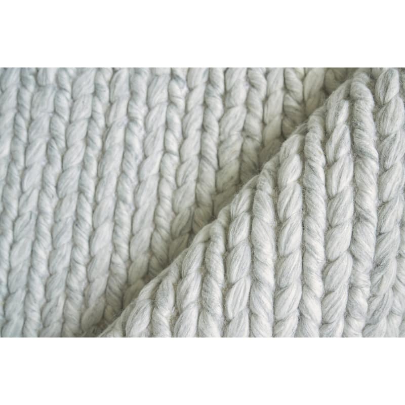 EXQUISITE RUGS Arlow Handwoven Polyester/Cotton Light Grey Area Rug.