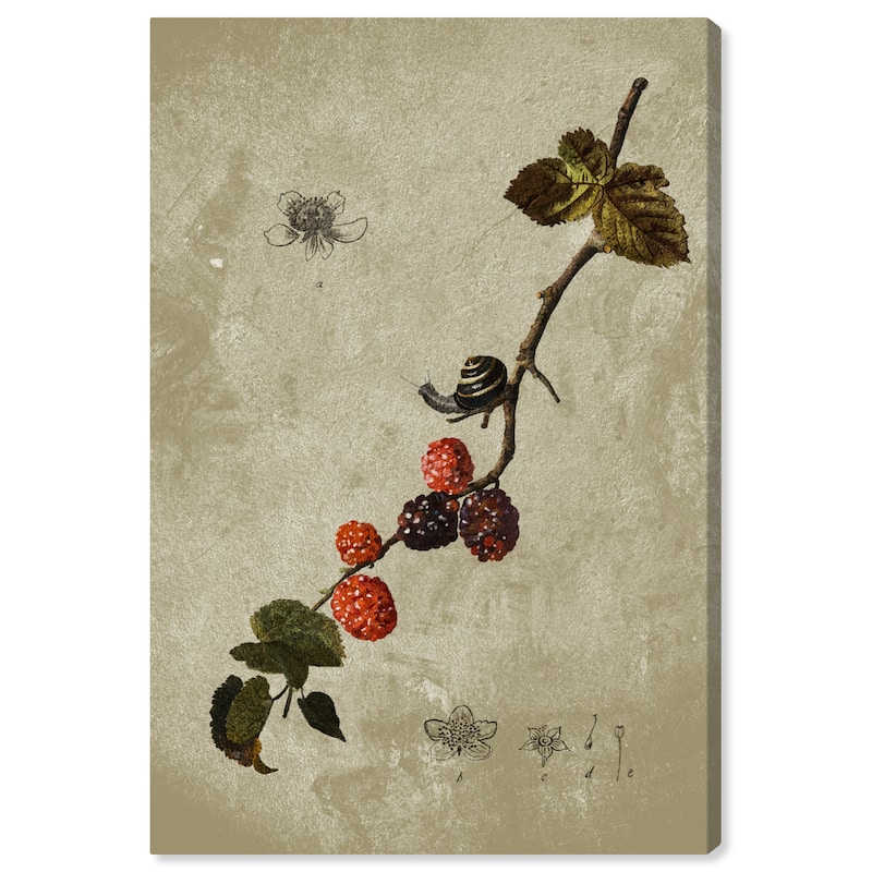 Wynwood Studio Canvas Floral and Botanical Botanical Raspberry Red and Scarlet Traditional Wall Art Canvas Print