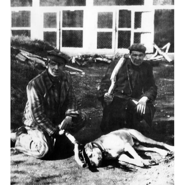 slide 1 of 1, Former Prisoners At Dachau Concentration Camp Kneel By The Dog They Killed With Clubs Prisoners Lived In Fear Of Being Fed To Do