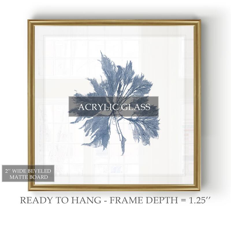 Navy Seaweed I -Black Framed Print