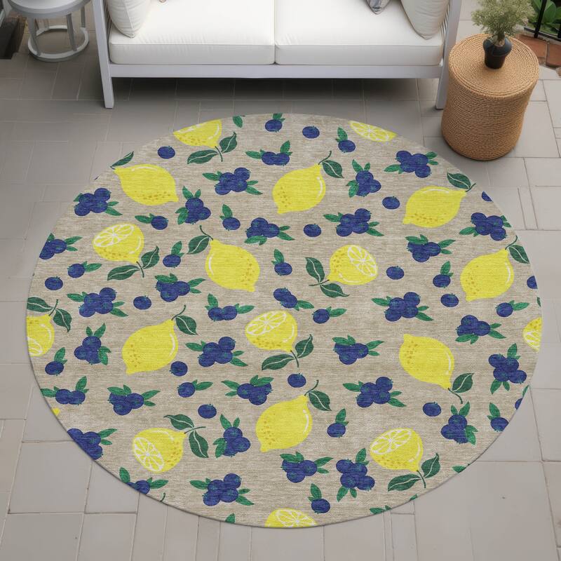 Machine Washable Indoor/ Outdoor Citrus Berry Chantille Rug - Putty - 8' x 8'