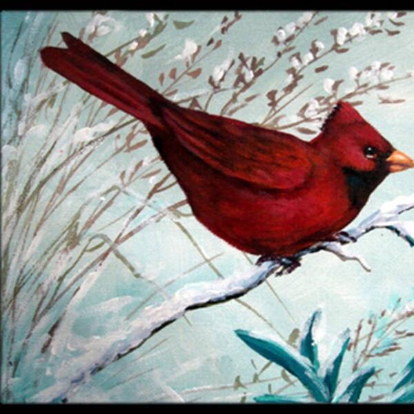 Shop Carolines Treasures Pjc1110jmat Cardinal Winter Red Bird