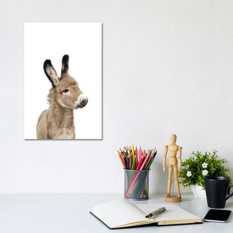 iCanvas "Baby Donkey" by Sisi & Seb Canvas Print - 12x8x0.75