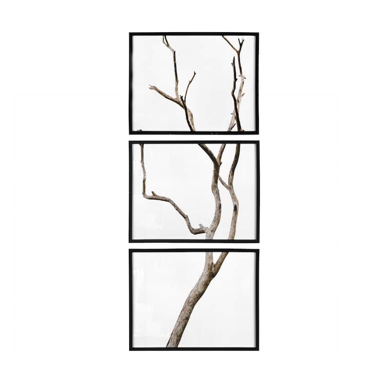 Wood Framed Branch Artwork, Black (Set of 3)