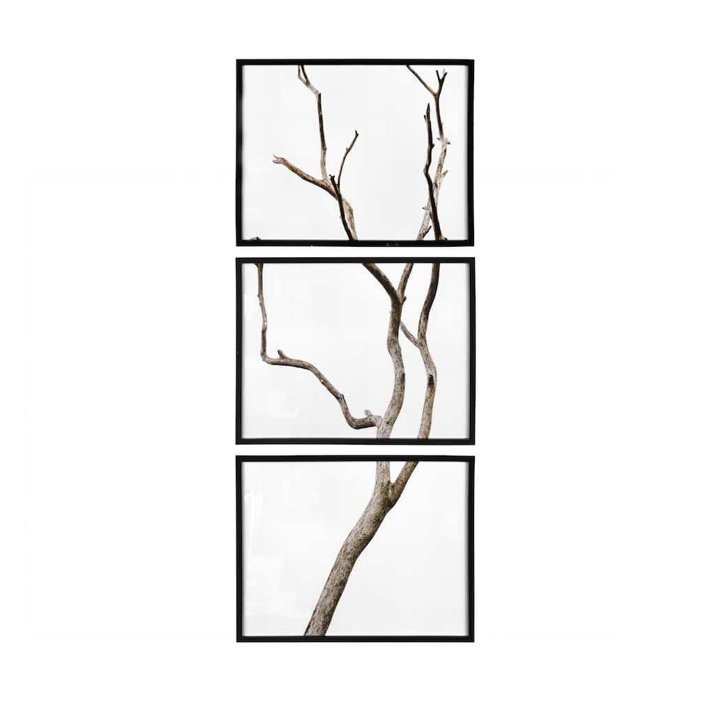 Wood Framed Branch Artwork, Black (Set of 3)