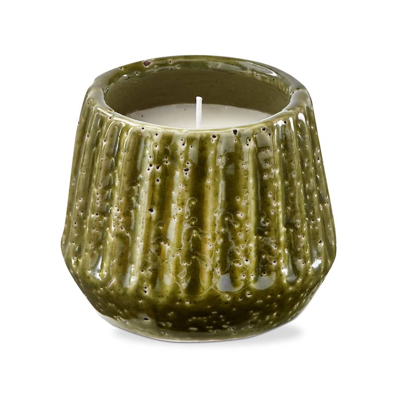 Citronella Unscented Candle in Terra Cotta Pot Green, 4.5L x 4.5Wx 3.75H, 7.1 oz, Burn Time 8 Hrs.
