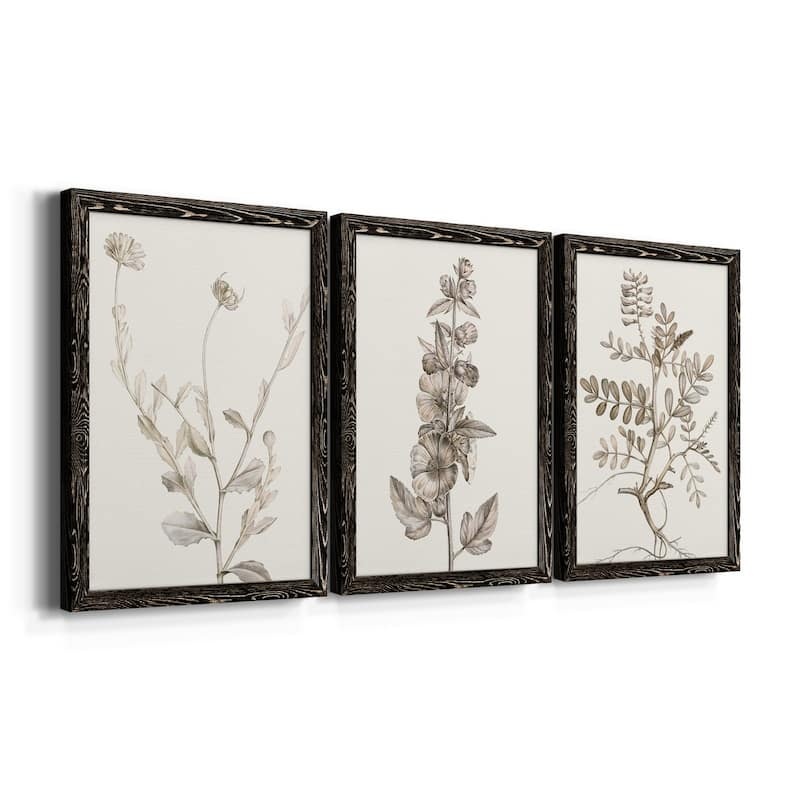 Neutral Botanical Study IV-Premium Framed Canvas - Ready to Hang - Multi-Color