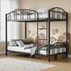 Option Black