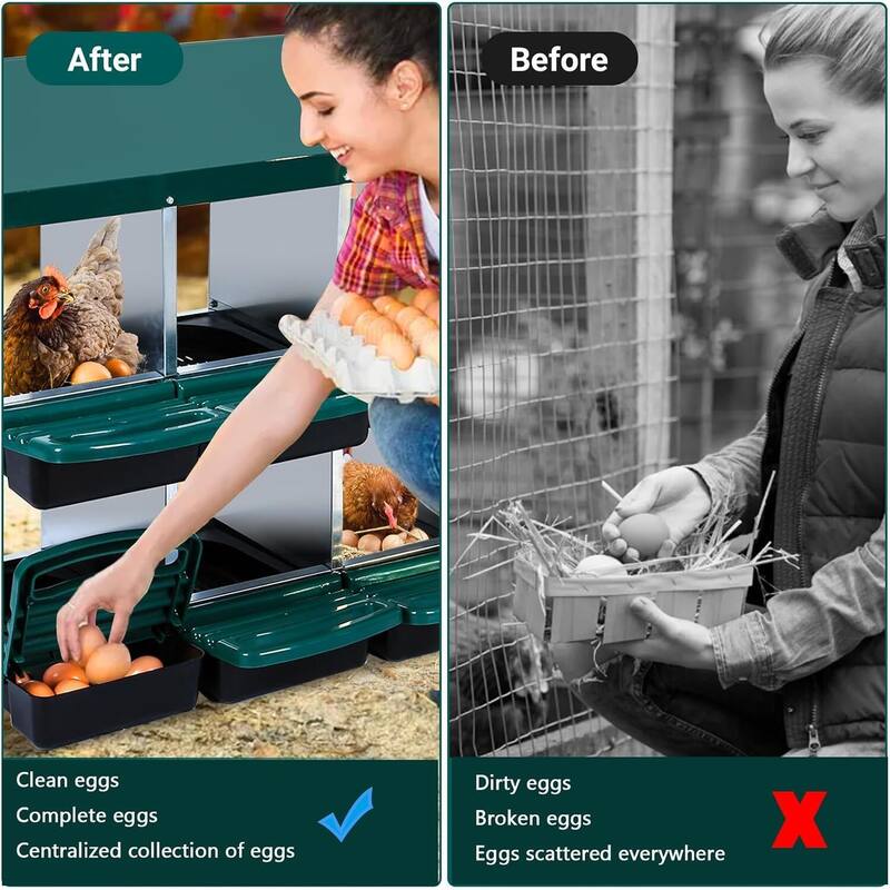 Chicken Nesting Boxes with Rollout Egg Collection