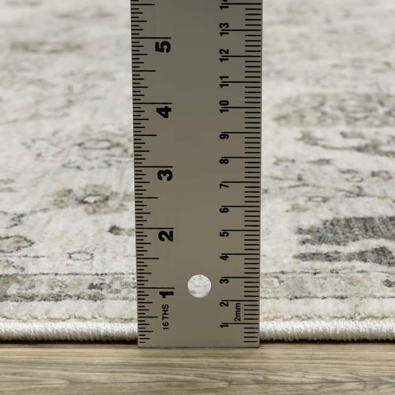 Style Haven Cádiz Floral Persian Ivory/Grey Area Rug