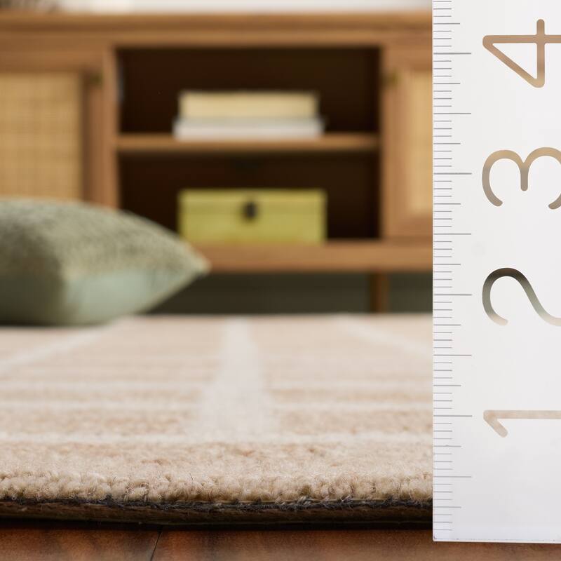 SAFAVIEH Handmade Genre Aleksej Modern Wool Rug