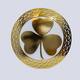 Option Polished Brass
