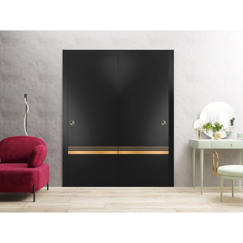 Bypass Doors 36 x 80 Planum 2010 Matte Black with Sturdy Rails