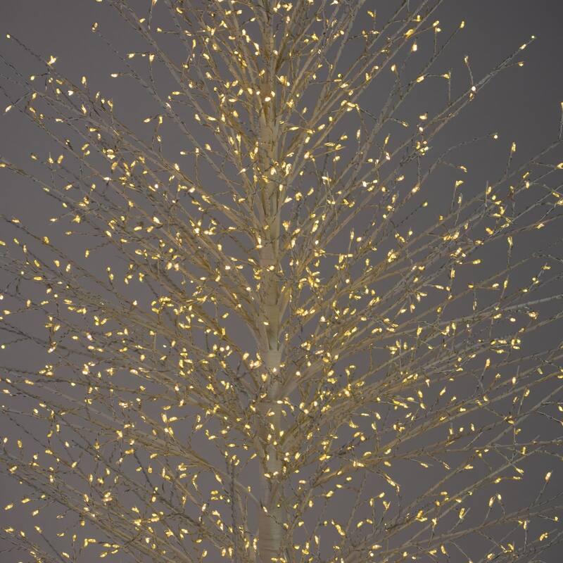 5.8 FT LED White Birch Tree Outdoor