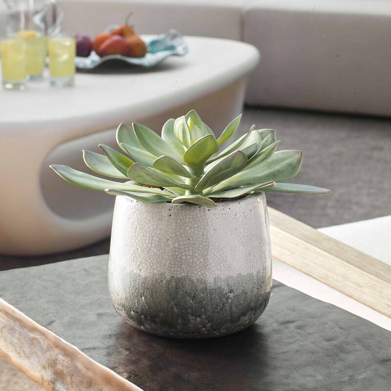 Uttermost 60261 Dudleya 10" Wide Succulent Artificial Plant in a - Green / Aged White / Blue Gray