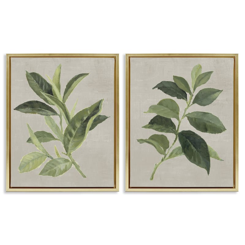 Stupell Green Tea & Coffee Plant Leaves Framed Floater Canvas Wall Art Design By Lanie Loreth (Set of 2) - 17 x 21 - Gold