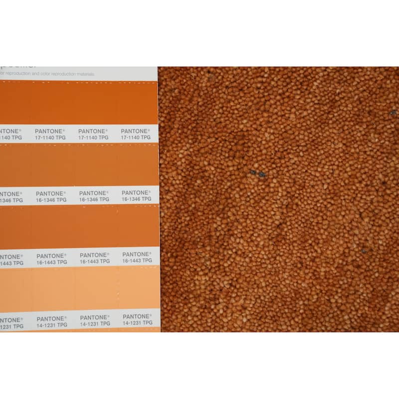Hand Knotted Oriental 100% Wool Carpet Tribal Animal Pictorial Oranges & Rust Gabbeh Area Rug - 7' 11'' X 7' 11''