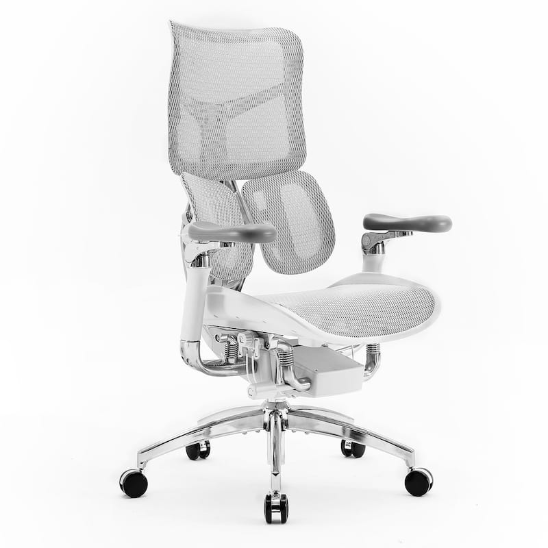SIHOO Doro S300-White Ergonomic Office Chair- Lumbar Two-piece Dynamic Support - Off-White