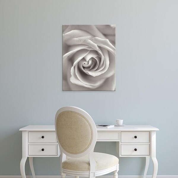 Easy Art Prints Alan Blaustein's 'Florison #23' Premium Canvas Art