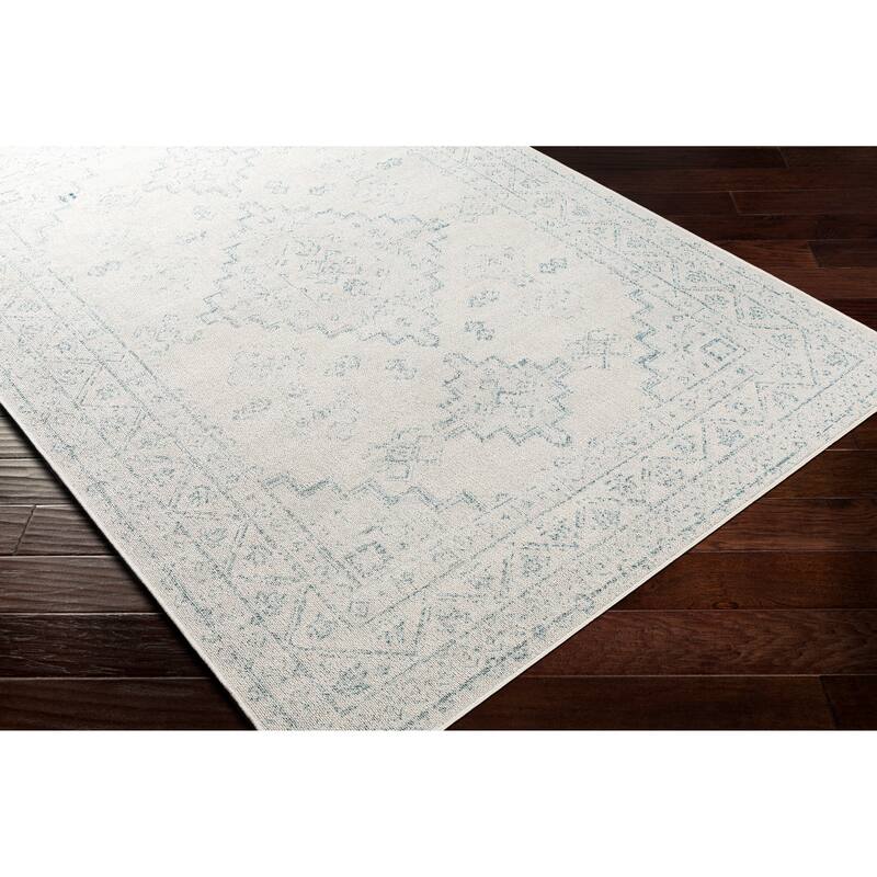 Susannah Indoor / Outdoor Updated Traditional Area Rug