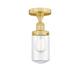 Option Clear / Satin Gold