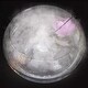preview thumbnail 4 of 5, AGPtEK Aluminum Mist Maker Fog Maker for Water Fountain Pond Rockery Fishtank Vase Birdbath